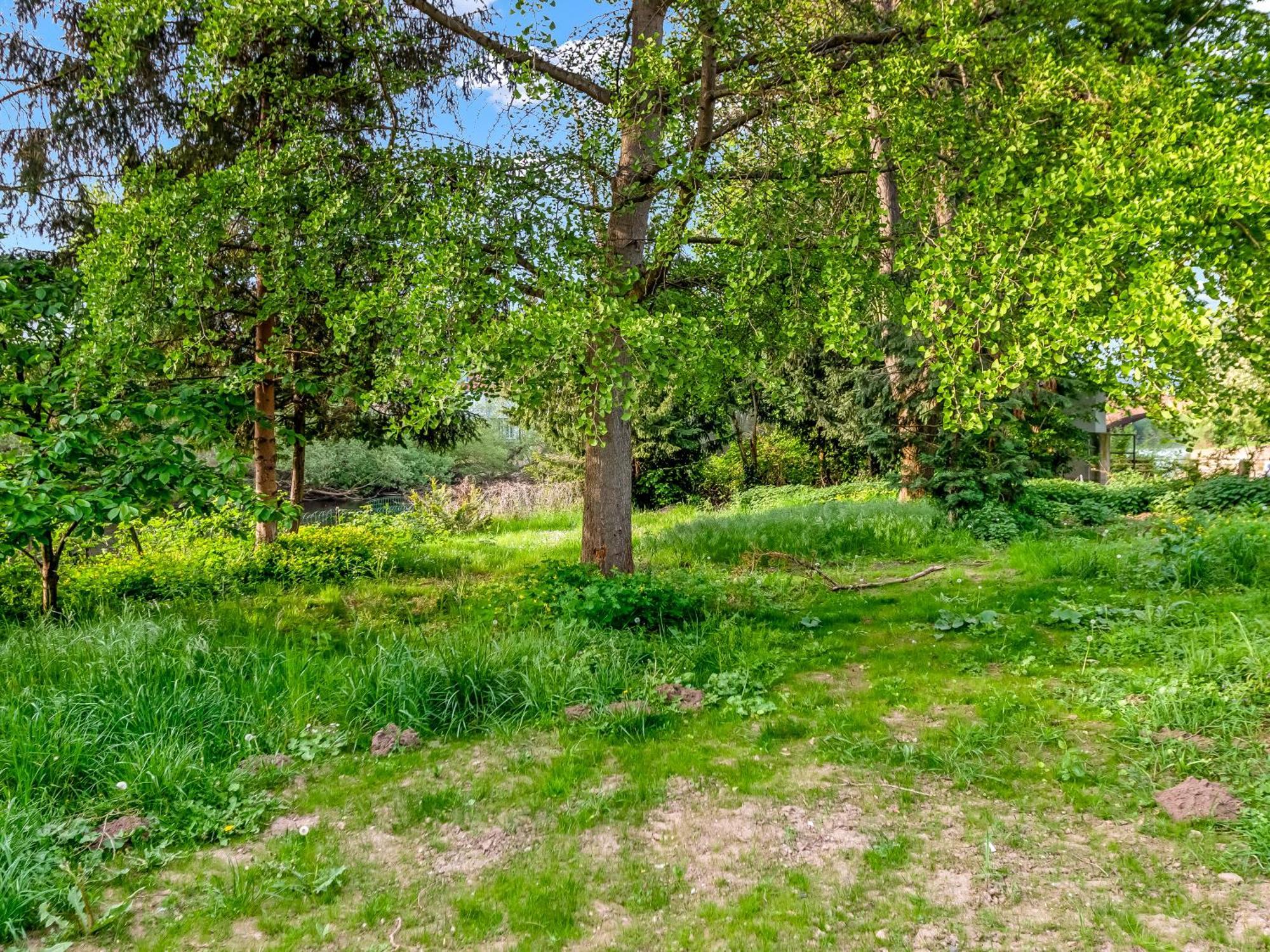 Altstadt Apartment Am Wasser Mit Parkplatz Und Grossem Garten Bad Kreuznach Exterior foto